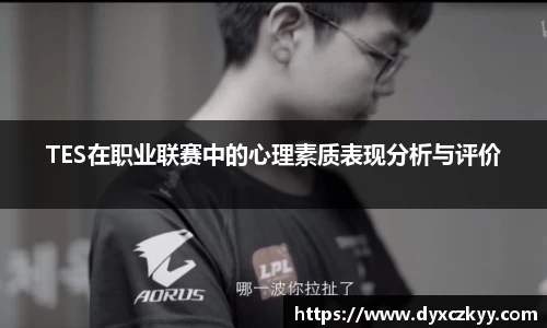 TES在职业联赛中的心理素质表现分析与评价