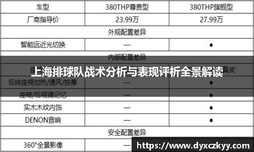上海排球队战术分析与表现评析全景解读