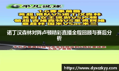 诺丁汉森林对阵卢顿精彩直播全程回顾与赛后分析